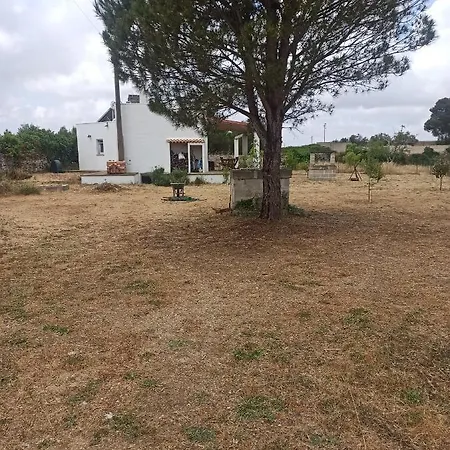 Сasa de vacaciones Li Noci Diso