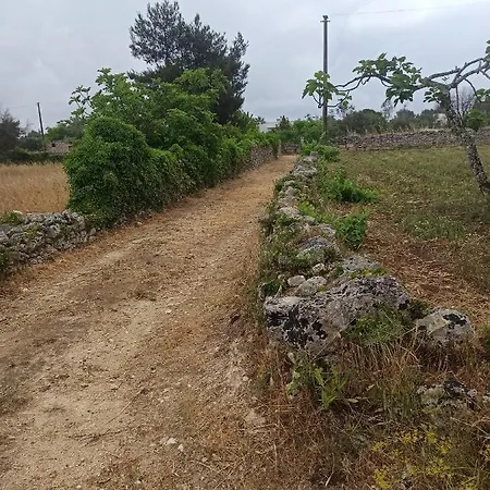 Сasa de vacaciones Li Noci Diso